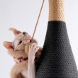 Bottle Shaped Standing Cat Scratching Post
