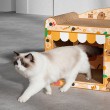 Integrated Cat Scratching Board and Cat Bed