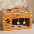 Large-Size 2-in-1 Cat Scratching Board