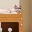 Large-Size 2-in-1 Cat Scratching Board