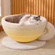 Coffee Cup Cat Scratching Board