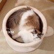 Coffee Cup Cat Scratching Board