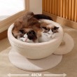 Coffee Cup Cat Scratching Board