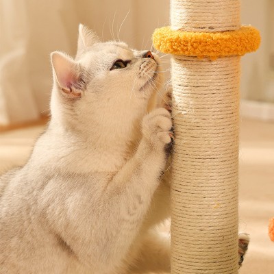 Pumpkin Shaped Cat Scratching Board