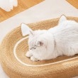 3-in-1 Cat Scratching Board