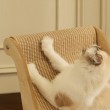 Cat Scratch Pad Cat Recliner