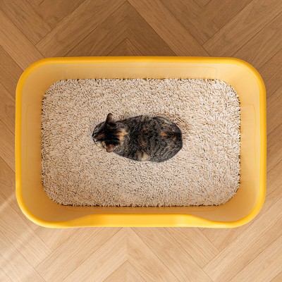 Large Capacity Two in One Litter Box