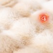 Rabbit Fur Pet Blanket