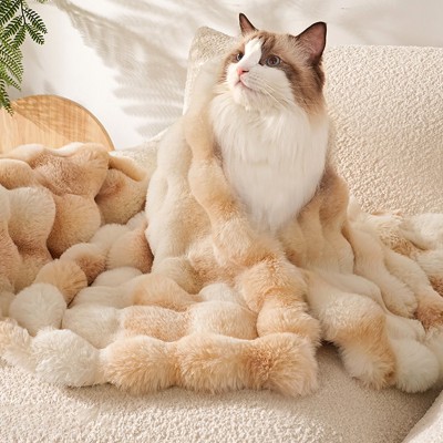 Thickened Winter Pet Blanket