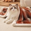 Pet Winter Checkered Blanket