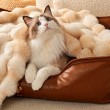 Thickened Winter Pet Blanket