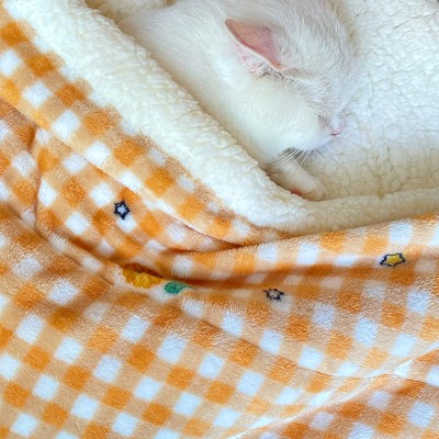 Double Layer Thickened Warm Blanket