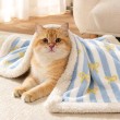 Double Layer Striped Pet Blanket