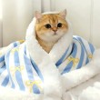 Double Layer Striped Pet Blanket
