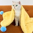 Multi-functional Pompom Pet Warmer