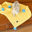 Multi-functional Pompom Pet Warmer