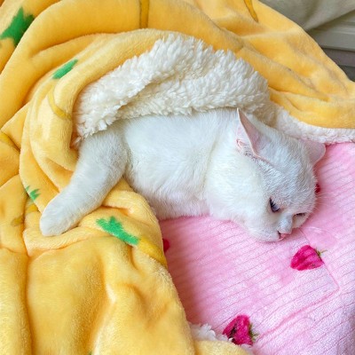 Double Layer Warm Pet Blanket