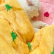 Double Layer Warm Pet Blanket