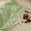 Double Sided Fleece Pet Blanket