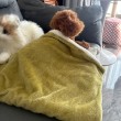 Double-Sided Fleece Pet Blanket 