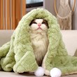 Double Sided Fleece Pet Blanket