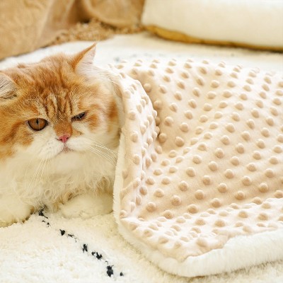 Warm and Insulating Pet Blanket