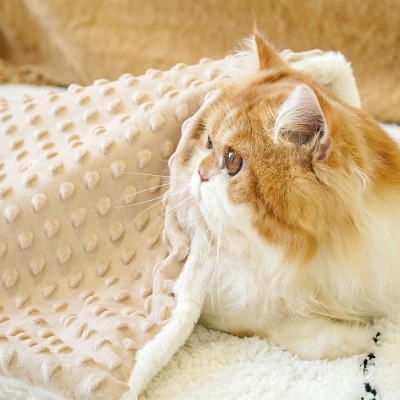 Warm and Insulating Pet Blanket