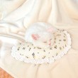 Lace Trimmed Pet Blanket