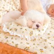Lace Trimmed Pet Blanket