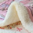 Thickened Winter Dog Blanket