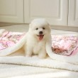 Thickened Winter Dog Blanket