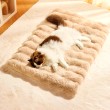 High Loft Bubble Fleece Pet Blanket