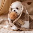 Checkered Plush Pet Blanket