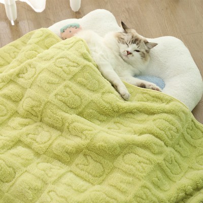 Double Sided Thick Plush Pet Blanket