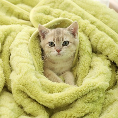 Double Sided Thick Plush Pet Blanket