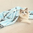 Customizable Pet Blankets