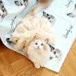 Customizable Pet Blankets