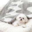 Faux Mink Fleece Pet Blanket
