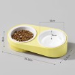 Elevated Neck Protecting Double Bowls for Pets