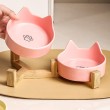 Large Diameter Ceramic Cat Bowl