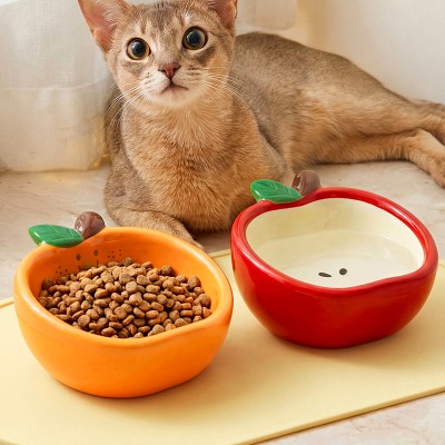 Fruit Shaped Cat Bowl