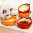 Fruit Shaped Cat Bowl