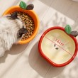Fruit Shaped Cat Bowl