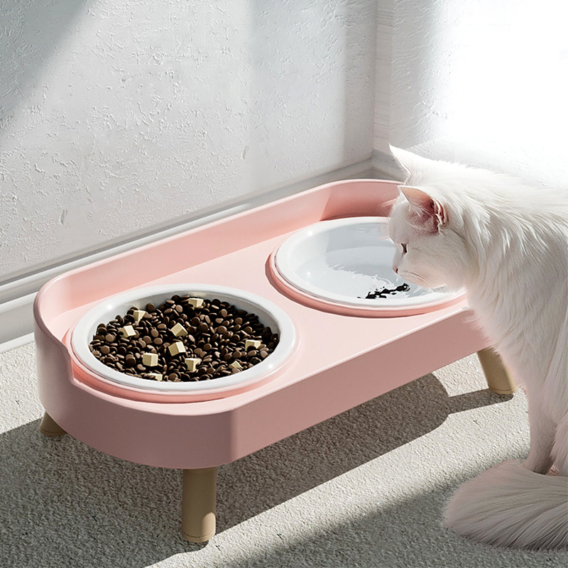 Leak Proof And Stain Proof Ceramic Bowl