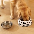 Double Layer Stainless Steel Pet Bowl