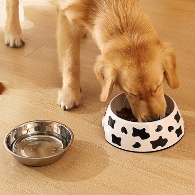 Double Layer Stainless Steel Pet Bowl