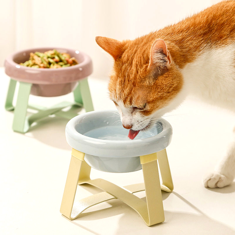 Underglaze Ceramic High Legged Pet Bowl