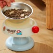Stainless Steel High Legged Pet Bowl