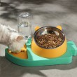 3-in-1 Pet Bowl