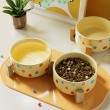 Colorful Polka Dot Ceramic Pet Bowl